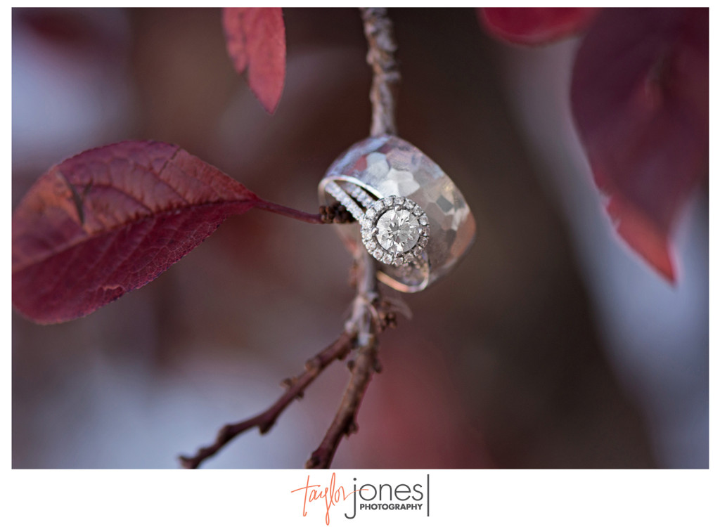 Rings at Pines at Genesee wedding
