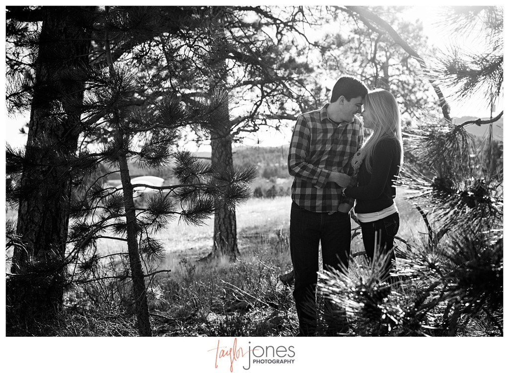 Evergreen engagement shoot in winter