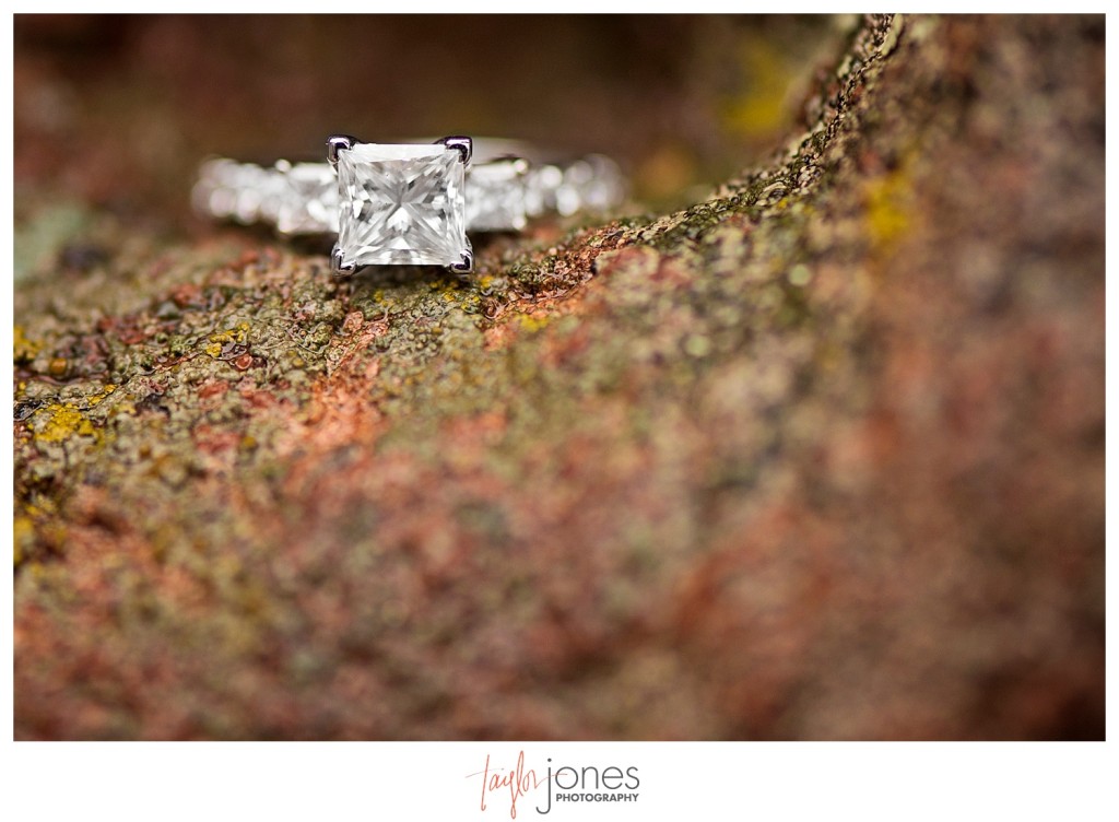 Winter proposal ring shot at Red Rocks