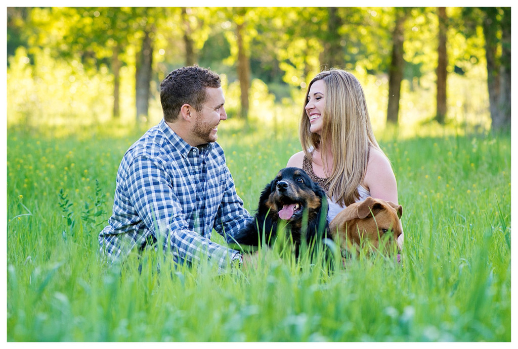 Colorado engagement shoot at Lair O the Bear with dogs