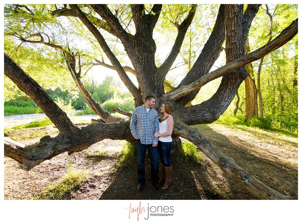 Colorado engagement shoot at Lair O the Bear with a tree