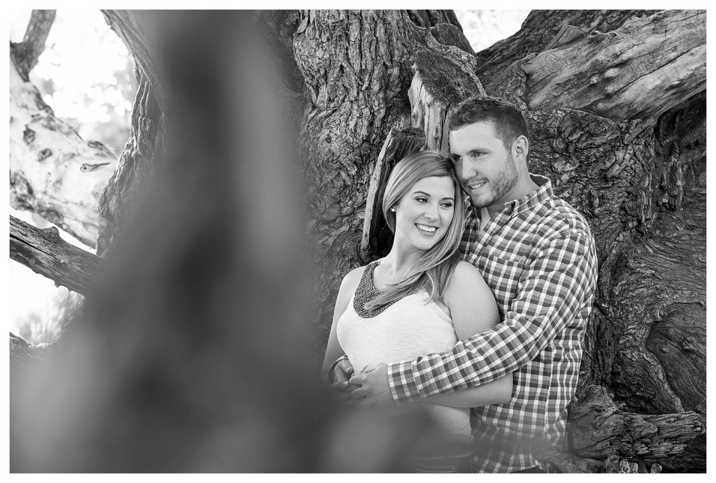 Colorado engagement shoot at Lair O the Bear couple in tree