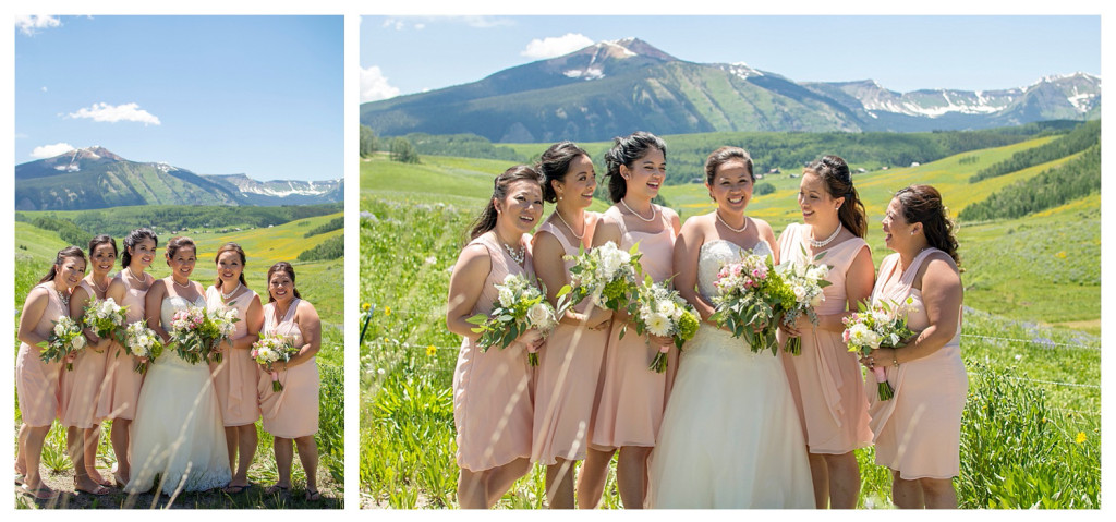 Crested Butte Colorado summer wedding bride and brides maids at Elk Mountain Range