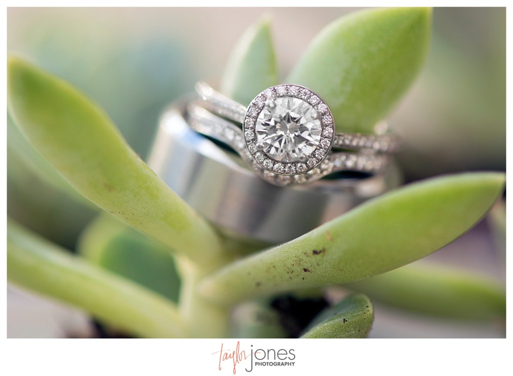 Della Terra Estes Park Wedding rings in succulents