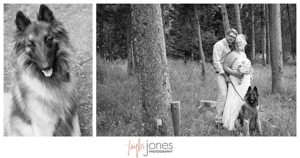 Breckenridge mountain wedding bride and groom portraits
