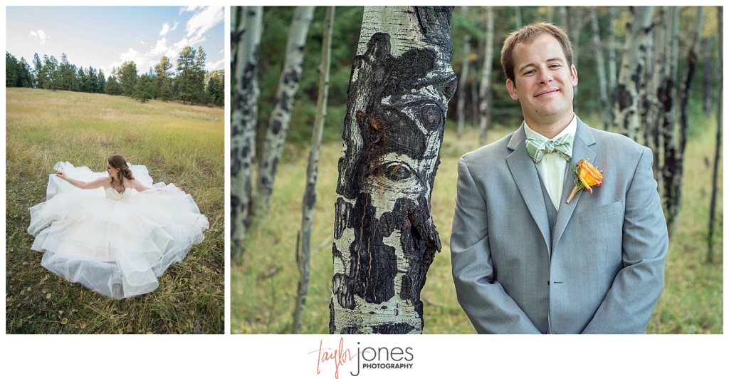 Mountain wedding portraits in Pine, Colorado
