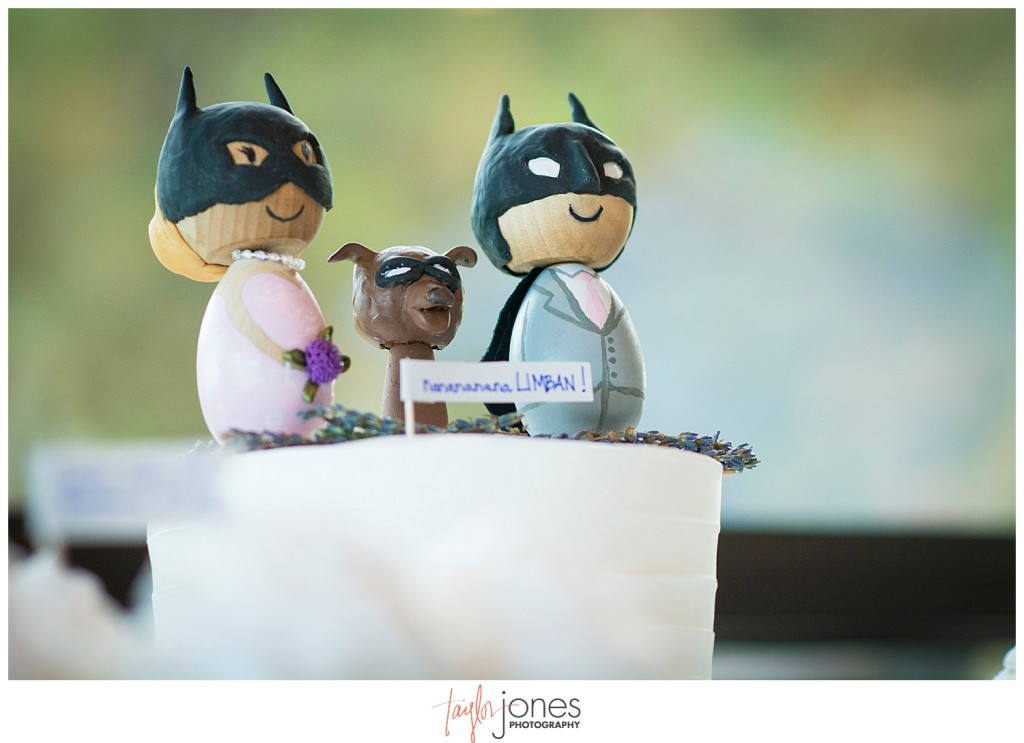 Pines at Genesee fall wedding reception decor Batman cake topper