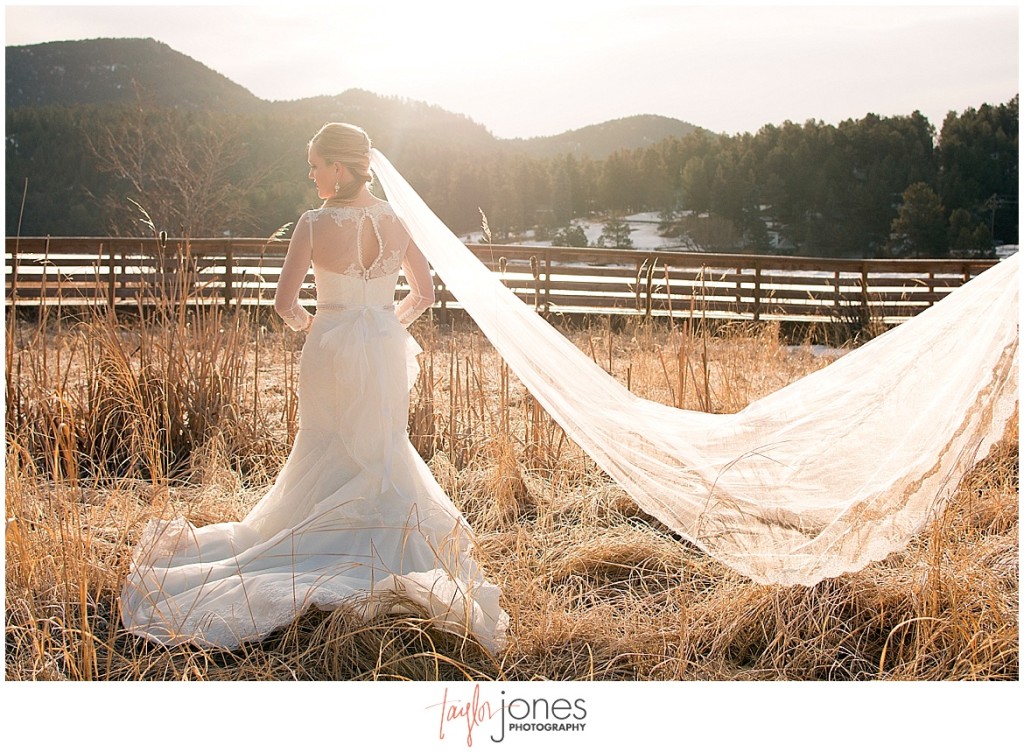 Colorado mountain wedding photographer evergreen and conifer